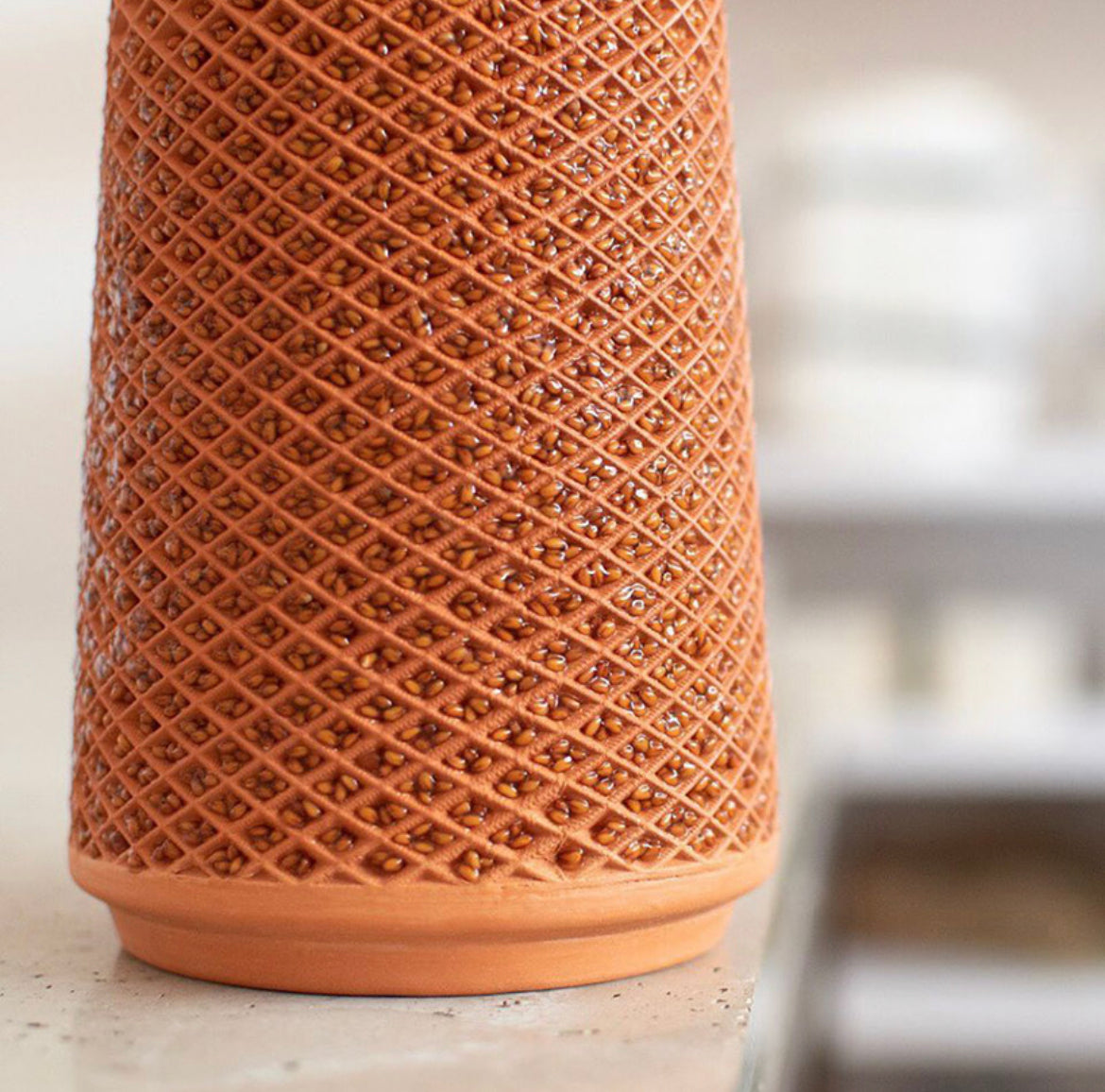 Self Watering soil-less pot for sprouting (Mitti ka Gamla)