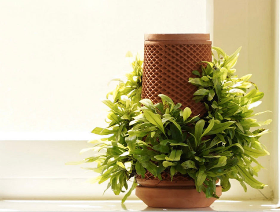 Self Watering soil-less pot for sprouting (Mitti ka Gamla)