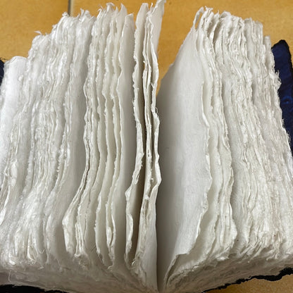 Indigo Print Diary